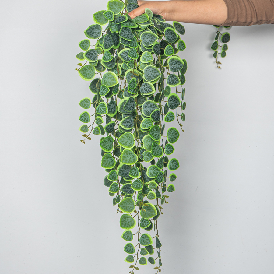 String Of Pearls Plant - 60-80cm Artificial Hanging Vines Tropical Eucalyptus