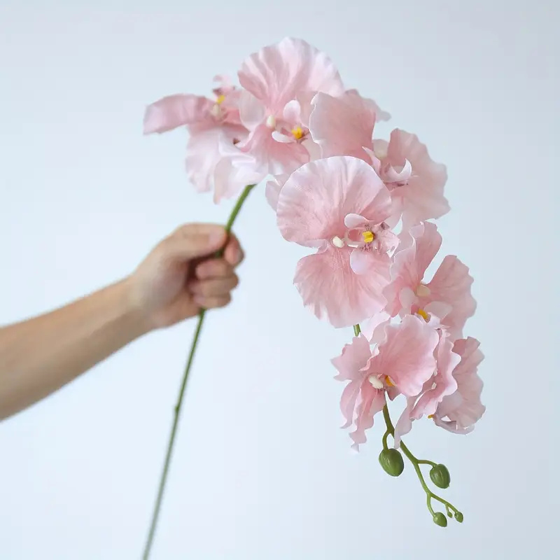 String Of Pearls Plant - Long Branch Butterfly Orchids Artificial Flowers