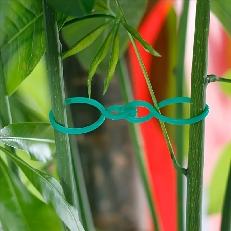 125Pcs Garden Plant Support Ki - Plant Parent Kit ulasan dan harga