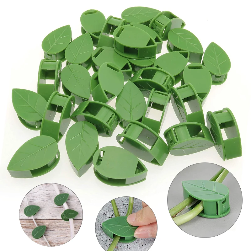 1-50Pcs invisible plant wall c - Plant Parent ulasan dan harga