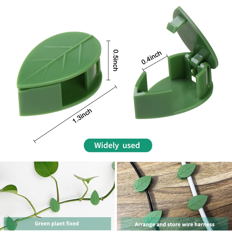 1-50Pcs invisible plant wall c - Plant Parent ulasan dan harga