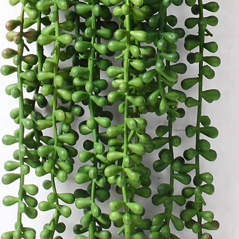 Artificial Plastic Plants Vine - String Of Pearls Plant ulasan dan harga