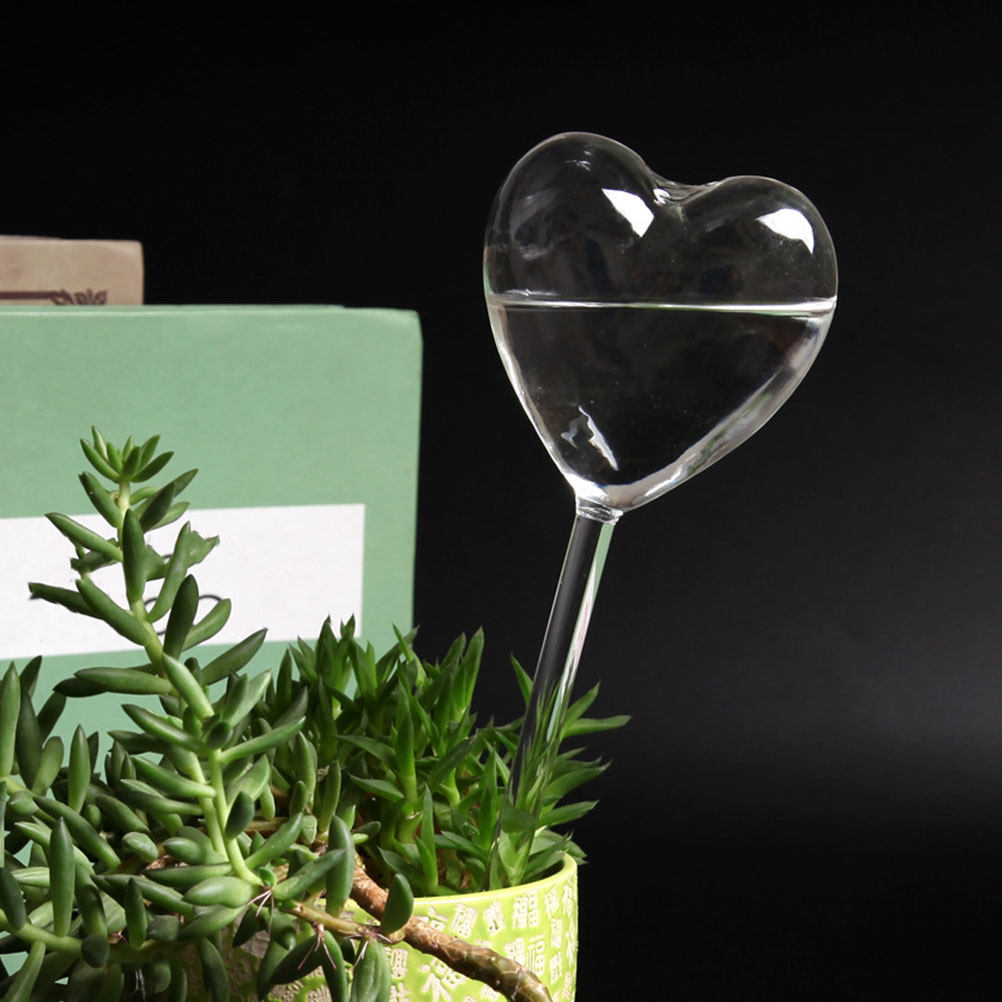3Pcs Heart Shaped Glass Self W - Plant Parent ulasan dan harga