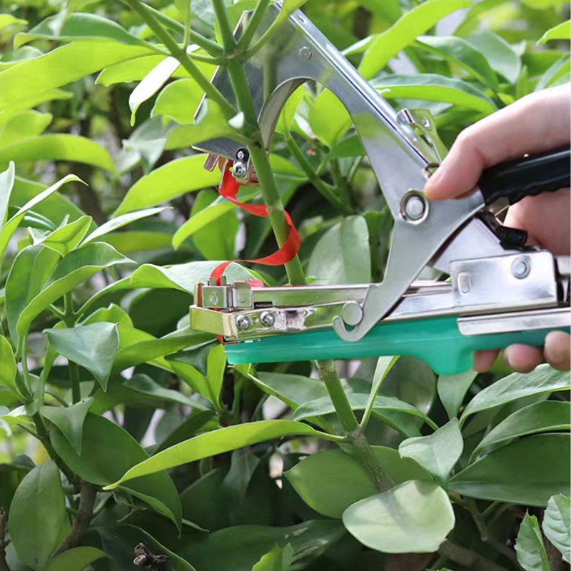 Garden Plants Branch Hand Tyin - Plant Parent Kit ulasan dan harga