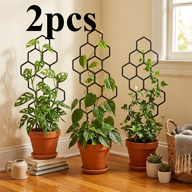 Two Climbing Plant Training De - Plant Parent ulasan dan harga