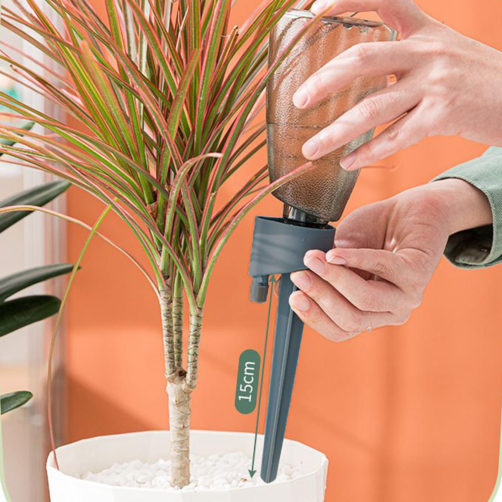 6pcs Automatic Waterer Househo - Plant Parent Kit ulasan dan harga