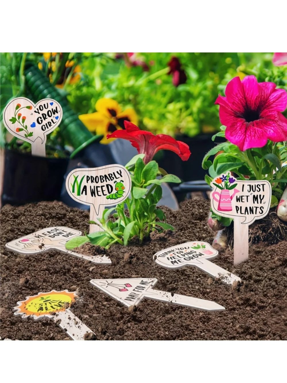 5/10Pcs Plant Labels for Succu - Plant Parent Gifts ulasan dan harga