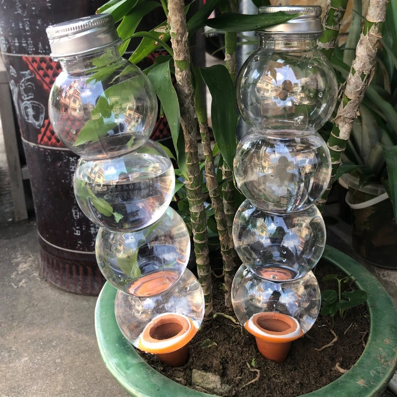 1/3/5Pcs Creative Automatic Wa - Plant Parent Kit ulasan dan harga